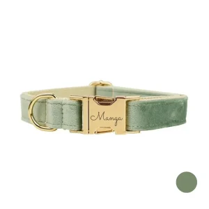 Collier chien personnalisé vert amande