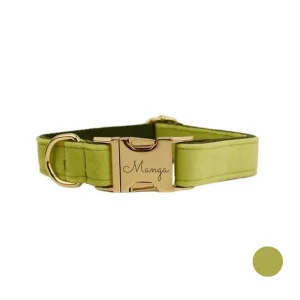 Collier chien personnalisé vert clair