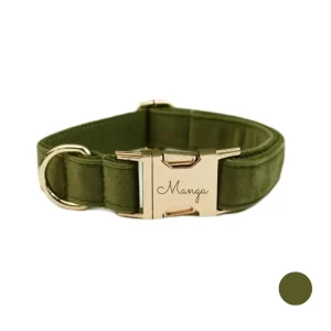 Collier chien personnalisé vert foncé