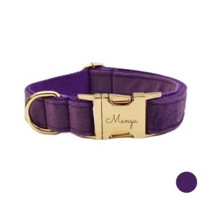 Collier chien personnalisé violet