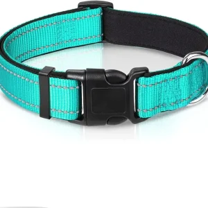 Collier chien pour la nuit
