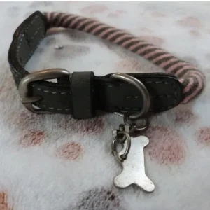 Collier chien rayé avec médaille os fr