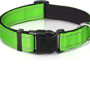 Collier chien sécurité