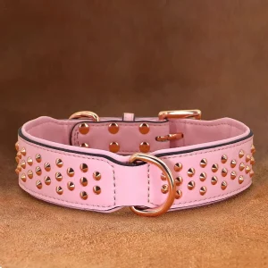 Collier chien tendance