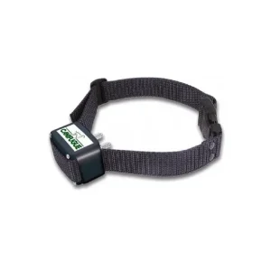 Collier chiens supplémentaire – CANIFUGUE