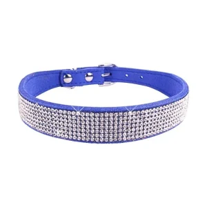 Collier chiot 2 mois