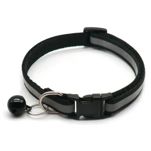 Collier chiot 4 mois