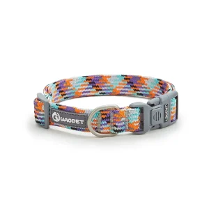 Collier chiot golden retriever