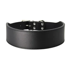 Collier chiot pas cher