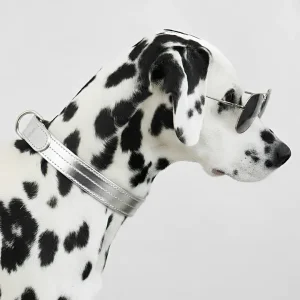 COLLIER CHURCHILL. Argenté – Collier chien cuir vegan