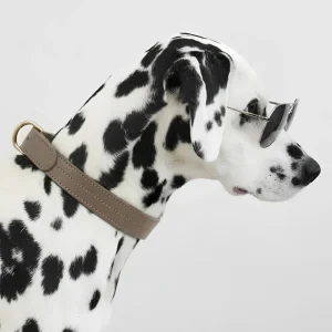COLLIER CHURCHILL. Café – Collier chien cuir vegan