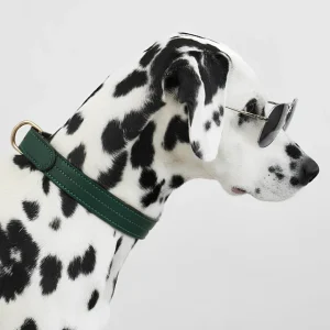 COLLIER CHURCHILL. Vert Sapin – Collier chien cuir vegan