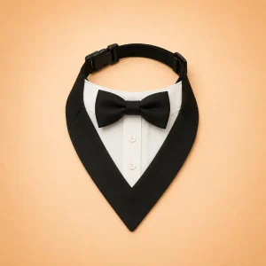 Collier costume chien