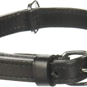 COLLIER CUIR CHIEN ACTIVE NOIR
