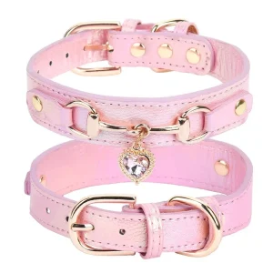 Collier de chien femme