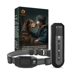 Collier de dressage pour grand chien avec télécommande