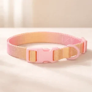 Collier dégradé jaune spitz