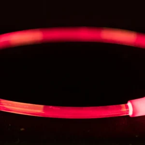Collier éclairant Flash 65 cm rouge pour chien