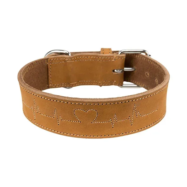 Collier en cuir gras « Rustic » de Trixie, taille M