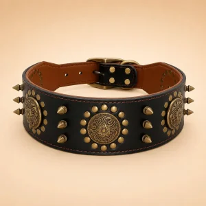 Collier en cuir noir doré chien