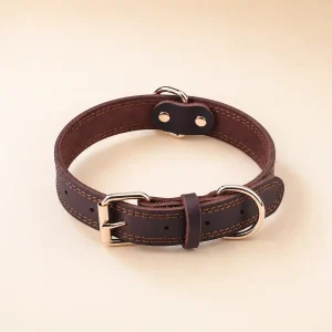 Collier en cuir petit chien