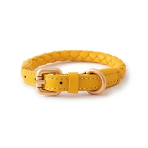 Collier en cuir rond pour chien