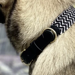 Collier en sangle tressée pour chien OKAPIA JOHNSTONI
