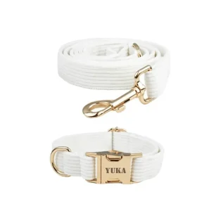 Collier et laisse chien à personnaliser en velours côtelé blanc