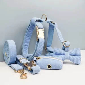 Collier et laisse chien à personnaliser en velours côtelé bleu