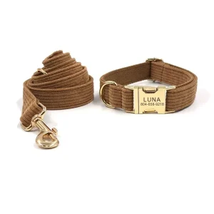 Collier et laisse chien à personnaliser en velours côtelé marron