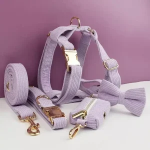Collier et laisse chien à personnaliser en velours côtelé violine