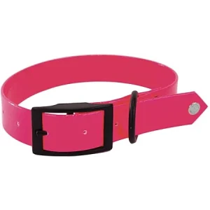 Collier fluo chasse