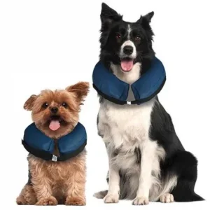 Collier gonflable Buster pour chiens [6 tailles]