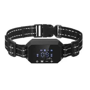 Collier GPS anti-fugue