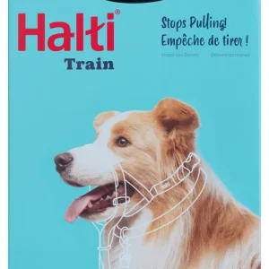 Collier Halti noir chien