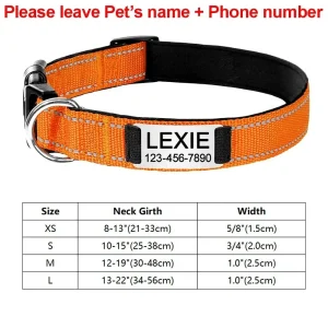 Collier identification chiot