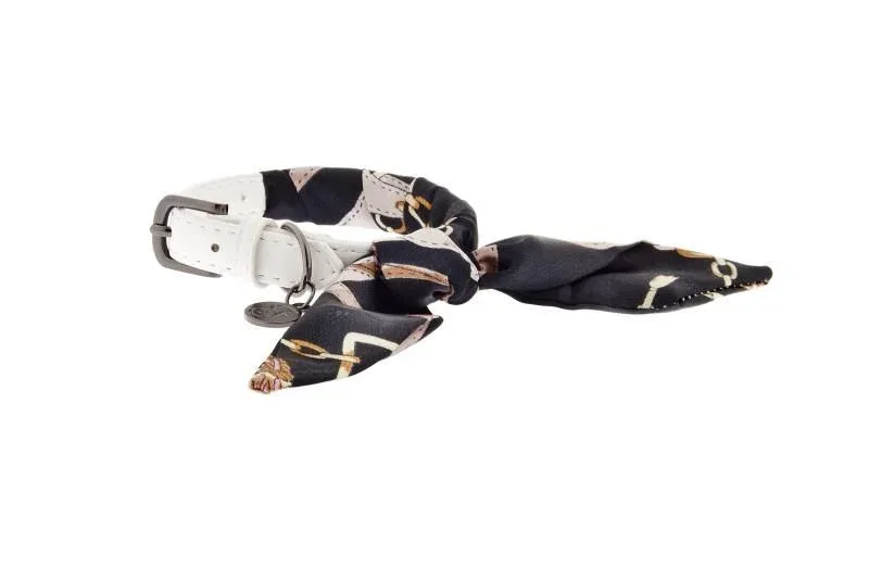 Collier + Laisse Tosca (Taille 2) – Ferribiella J’ai plus de croquettes