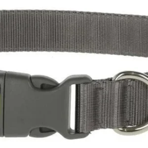 Collier light et reflex chien