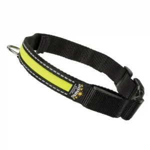 Collier Nuit Réfléchissant pour Chiens Ferplast