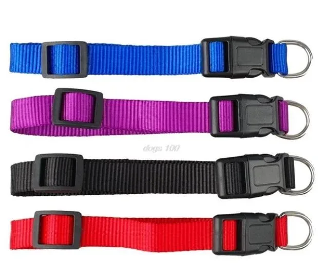 Collier Nylon bleu foncé classique 31 – 45 cm fr