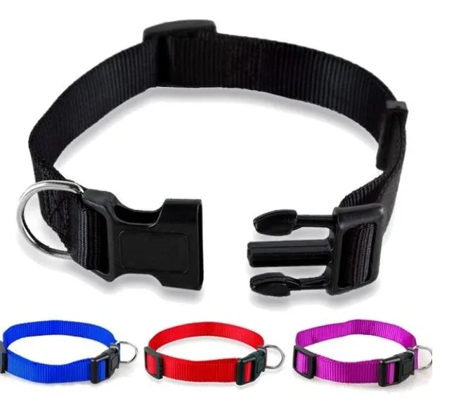 Collier Nylon rouge classique T30 – 45 cm fr