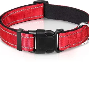 Collier pas cher pour chien