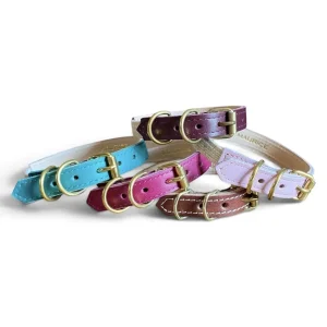 Collier pour chat en cuir ACINONYX JUBATUS