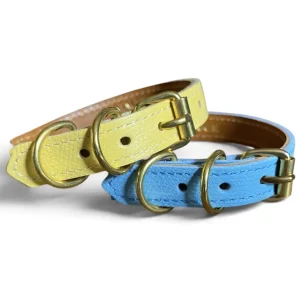 Collier pour chat en cuir grainé NEOFELIS NEBULOSA