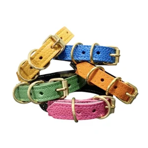 Collier pour chat en cuir LYNX LYNX
