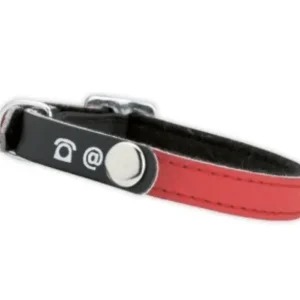 Collier pour chat réfléchissant à personnaliser