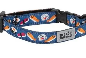 Collier pour chat sécuritaire, motif de sushi, RC Pets
