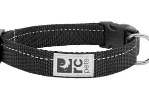 Collier pour chien à clip noir, RC Pets modèle Primary