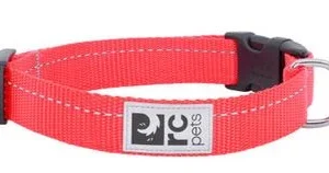 Collier pour chien à clip rouge, RC Pets modèle Primary