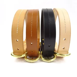 Collier pour chien en cuir CANIS LUPUS